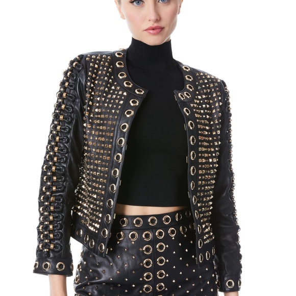 KIDMAN EMBELLISHED LEATHER BOXY JACKET + RILEY A-LINE STUDDED LEATHER SKIRT - Picture 5 of 9